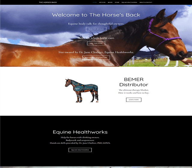 Moving an Equine Therapy Store From WooCommerce to Shopify — the delivered interface