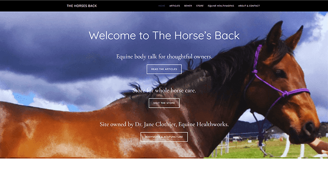 Moving an Equine Therapy Store From WooCommerce to Shopify